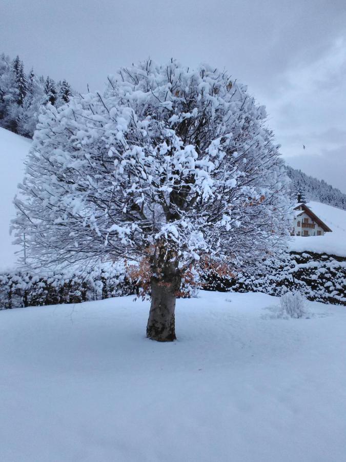 Haus Kieler Lägenhet Schladming Exteriör bild